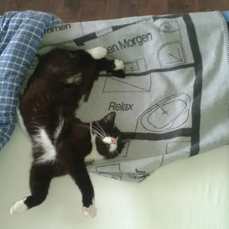 Gwiggner * Niederau