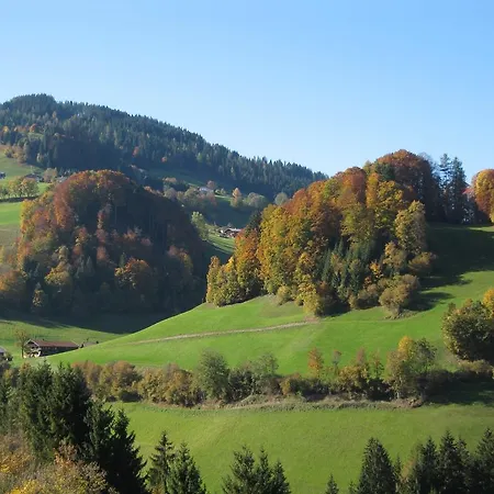 Daire Gwiggner Niederau