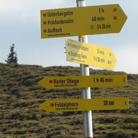 Daire Gwiggner Niederau