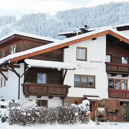 Διαμέρισμα Gwiggner *