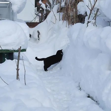 Gwiggner Daire Niederau