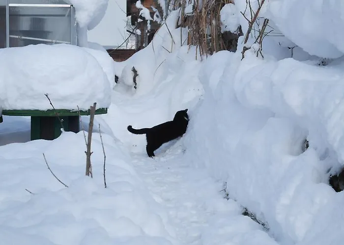 Gwiggner Apartman Niederau